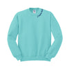 Junior League of Daytona Beach Crewneck Sweatshirt - Neck Logo