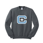 The Citadel C Sweatshirt - Printed Crewneck